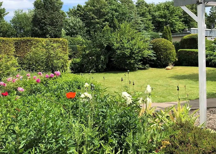 Strandlaeufer * Lensterstrand